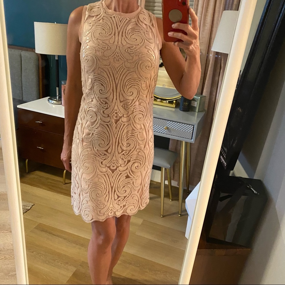 Vince Camuto Blush Lace Dress - Picture 6 of 13